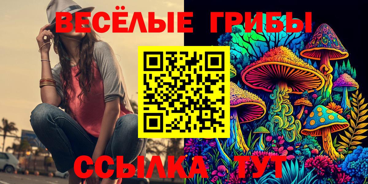 Псилоцибиновые грибы мухоморы  Галлюциногенные грибы Psilocybine cubensis  Ставрополь  Вход с VPN 